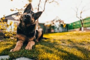 Bartbox reviews - featured