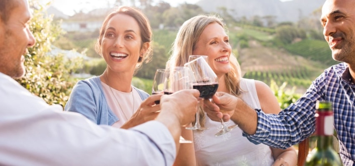 Vinesse Wine Clubs - Things to Love About Vinesse WInes