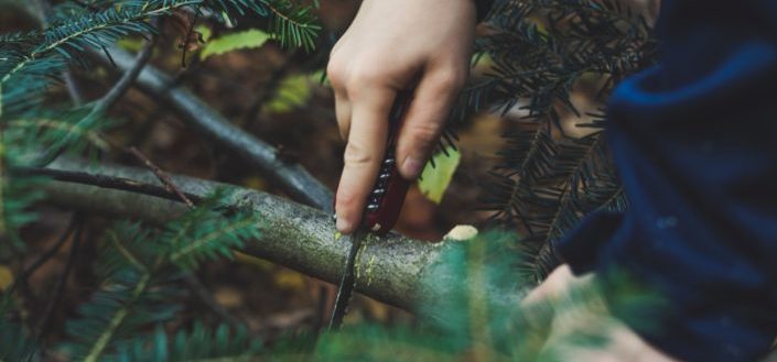 SHTF Survival - Shtf Survival Review.jpeg