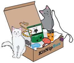 KitNipBox Price - Monthly Multi-Cat