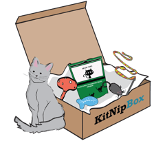 KitNipBox Price - Monthly Single Cat