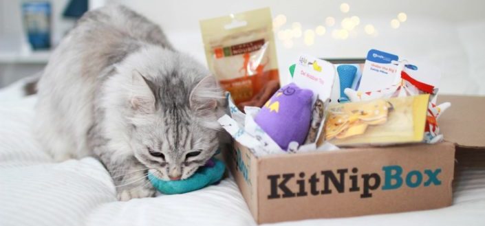KitNipBox - Is KitNipBox worth it?
