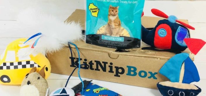 KitNipBox - How to Subscribe to KitNipBox