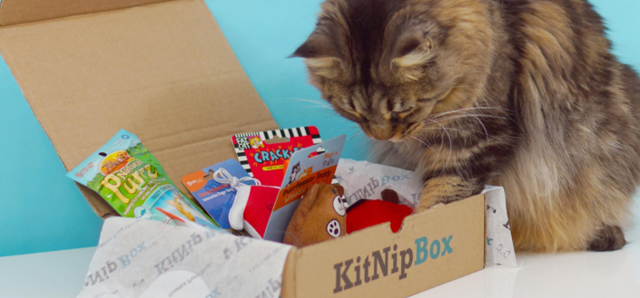 KitNipBox - KitNipBox Shipping Breakdown