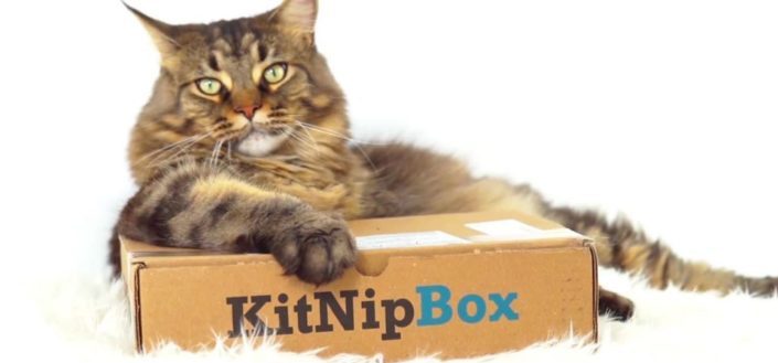 KitNipBox - KitNipBox Review