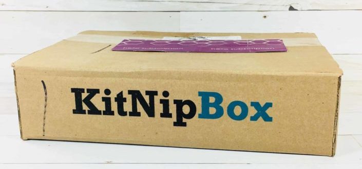 KitNipBox Review - Things Not To Love About KitNipBox