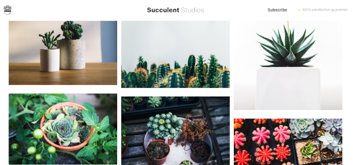 Succulent Studios - Inspiration Page