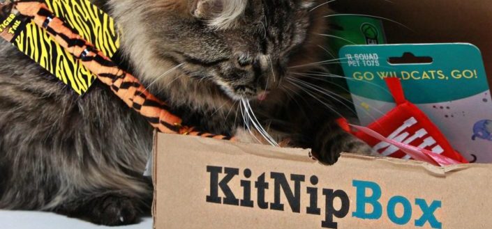 KitNipBox Review - Things To Love About KitNipBox