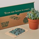 Succulent Box