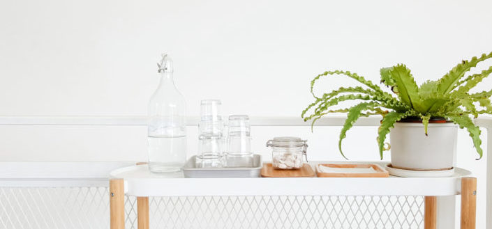 House Plant Box - House Plant Box Price.jpg