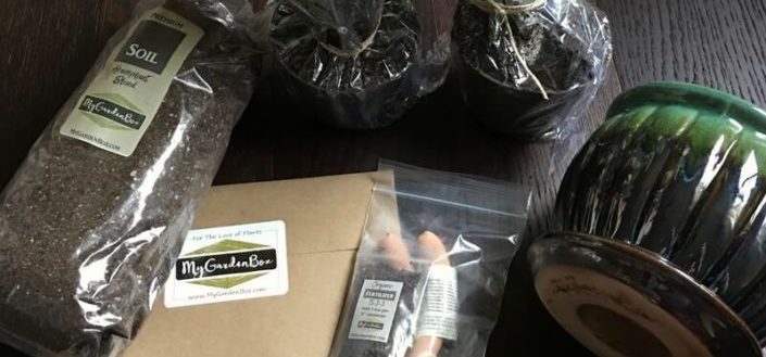 My Garden Box - Is My Garden Box worth it?