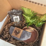 My Garden Box Price - 3 month pay
