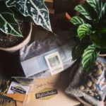 My Garden Box Price - Month to Month