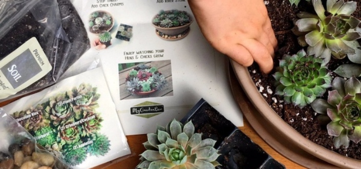 My Garden Box Review