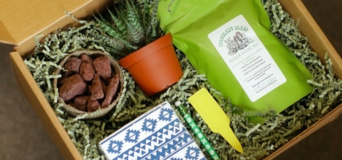 Succulents Studio - Recent boxes (1)