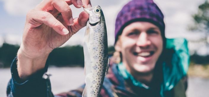 How to Join the Postfly - Select which type of fish you want to catch and your region.jpg